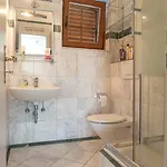 Apartment Masek *